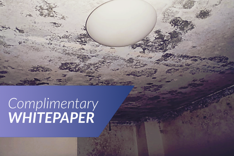 Free Whitepaper: The Importance of Indoor Environmental Professionals (IEP) in Investigative and Remedial Projects