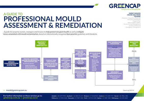 Greencap Mould Assessment Flowchart