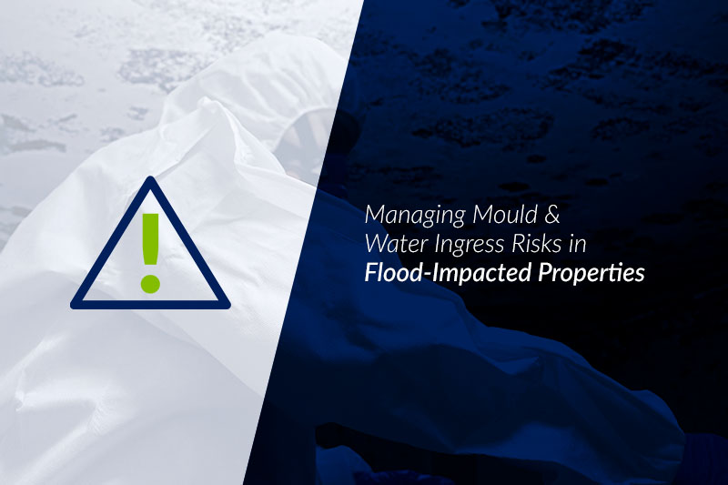 Managing Mould & Water Ingress Risks in Flood-Impacted Properties