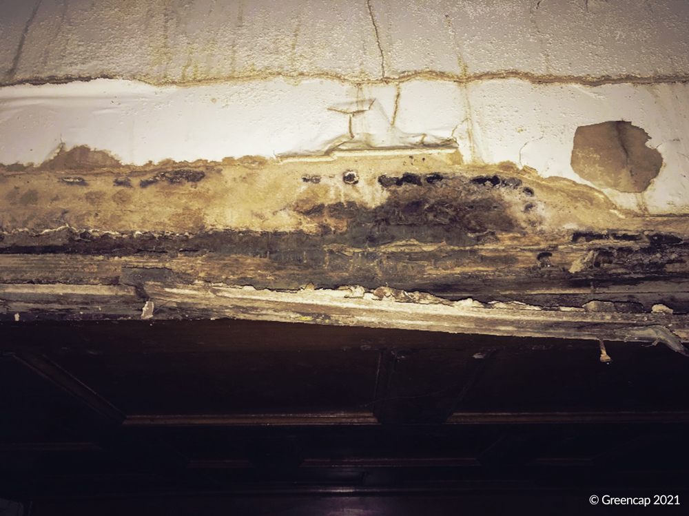Mould Damage on a Historic Wooden Staircase